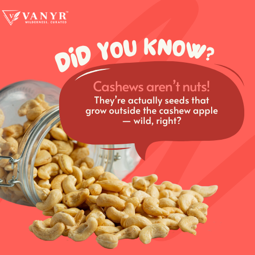Premium Cashews