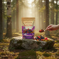 Berry Mix | Premium Healthy Antioxidant Rich Dried Berries Antioxidant Snack